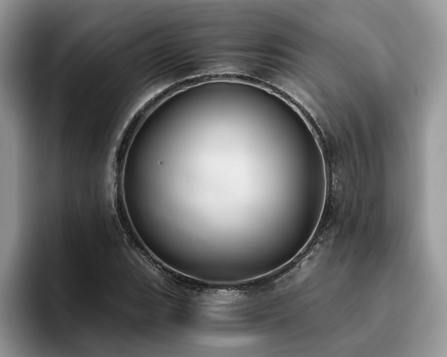 X0000096201119200801181335