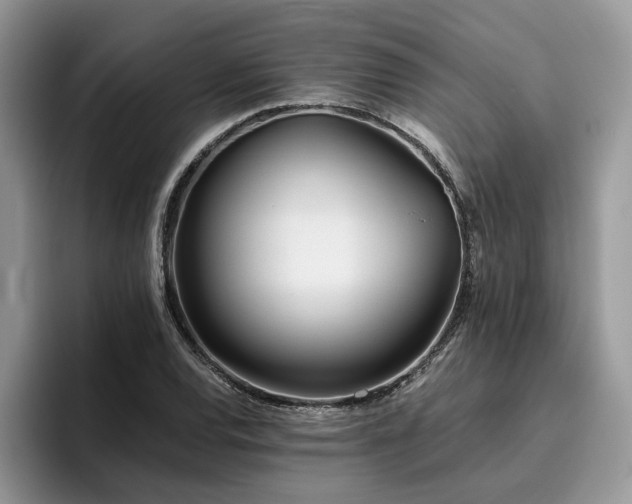 X0000096201120200801181335