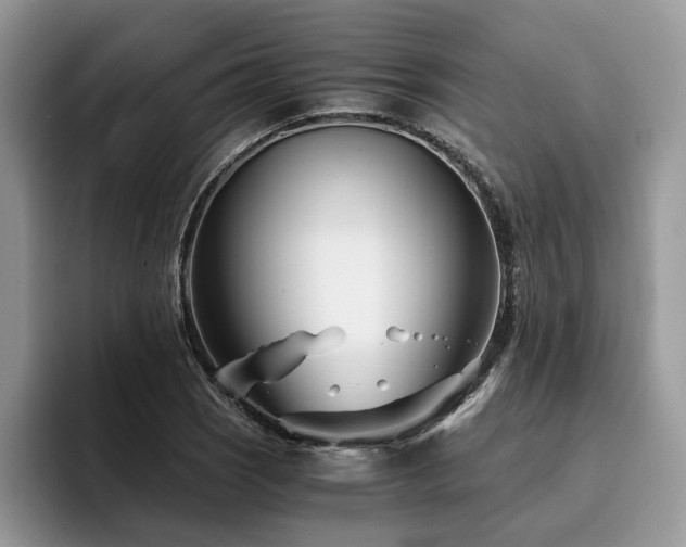 X0000096201121200801181335