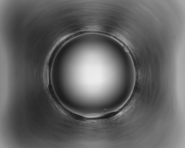 X0000096201123200801181335