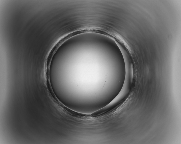 X0000096201124200801181335