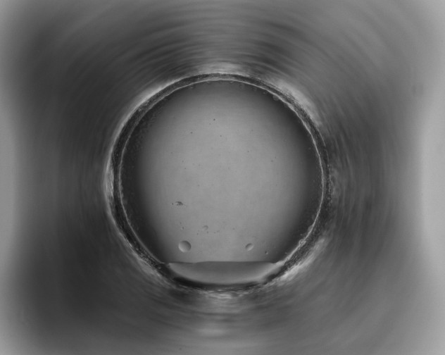 X0000096201125200801181335