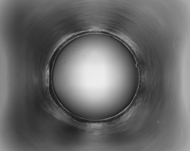 X0000096201126200801181335
