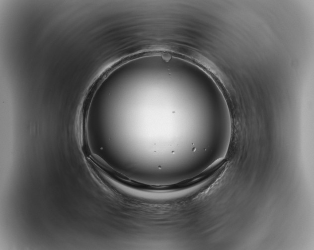 X0000096201127200801181335