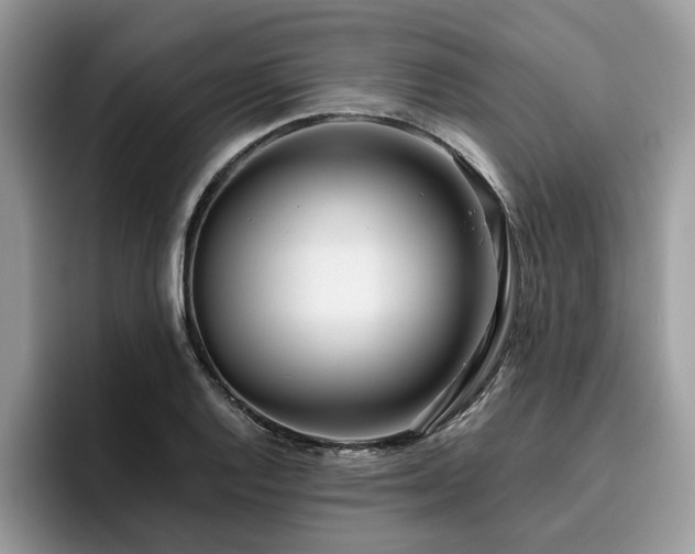 X0000096201128200801181335