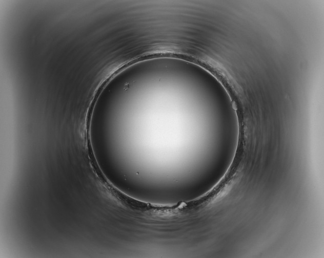 X0000096201129200801181335