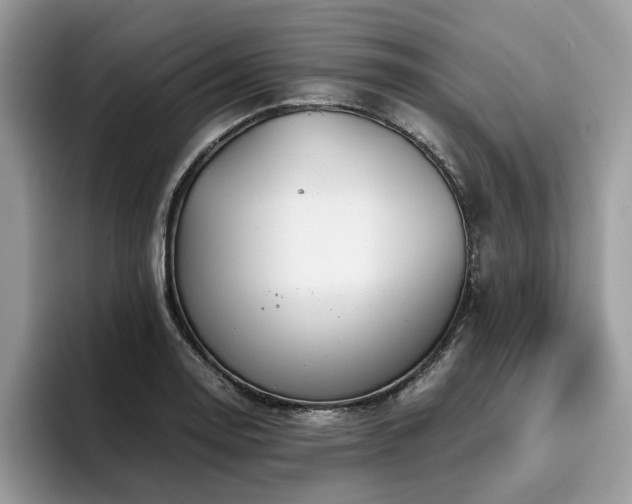 X0000096201130200801181335