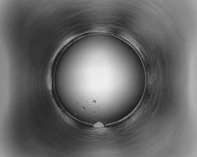 X0000096201131200801181336