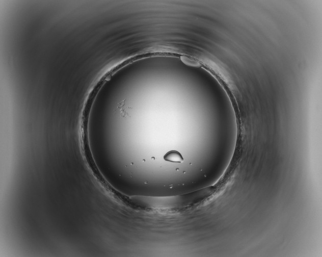 X0000096201133200801181336