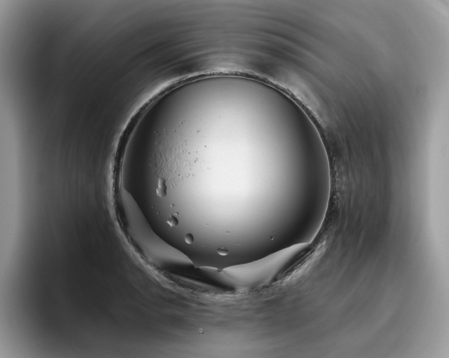 X0000096201134200801181336