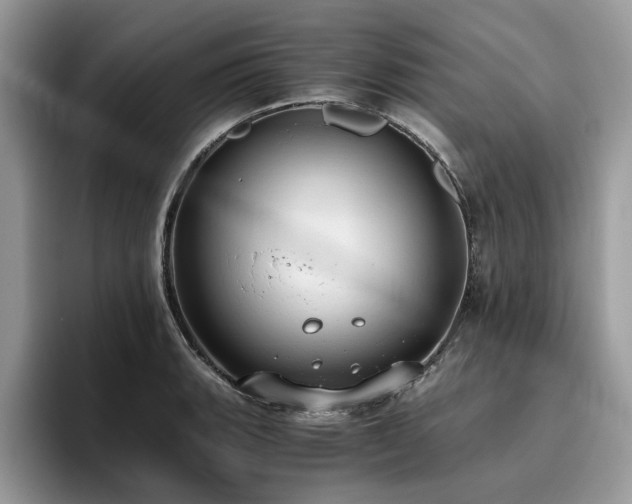 X0000096201135200801181336