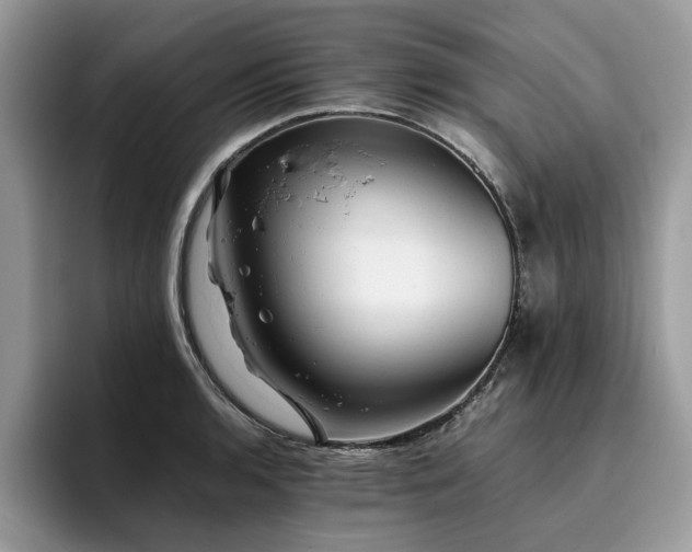 X0000096201136200801181336