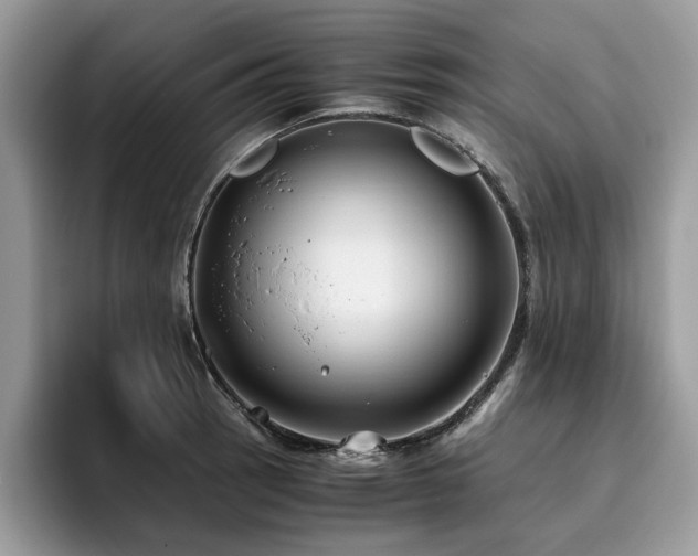X0000096201137200801181336