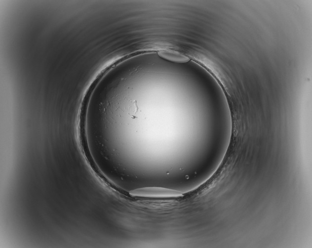 X0000096201139200801181336