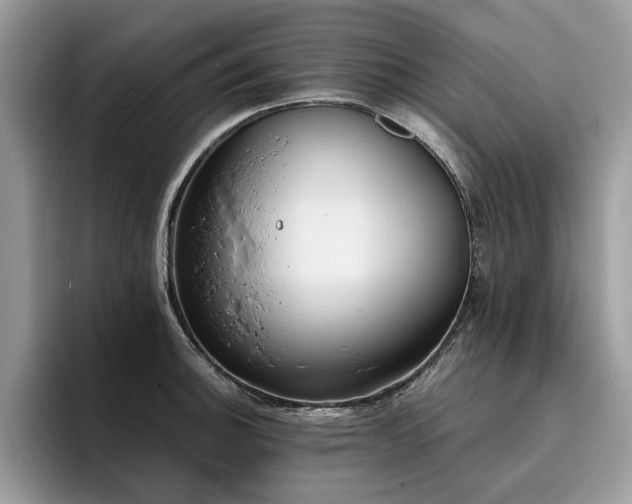 X0000096201140200801181336