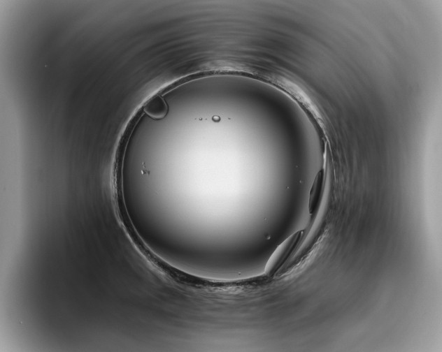 X0000096201141200801181336