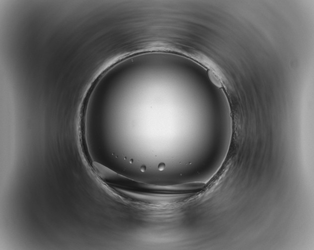X0000096201142200801181336