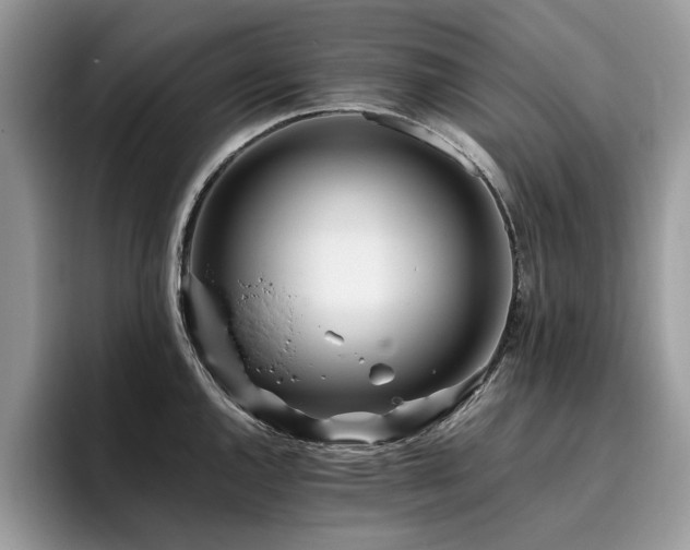 X0000096201144200801181336