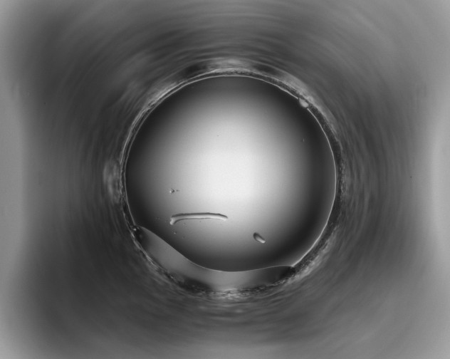 X0000096201145200801181336