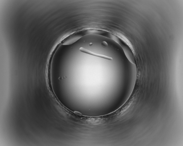 X0000096201146200801181336