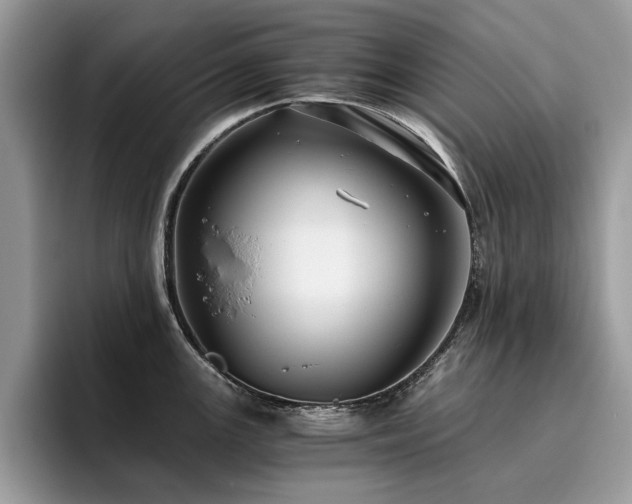 X0000096201147200801181336