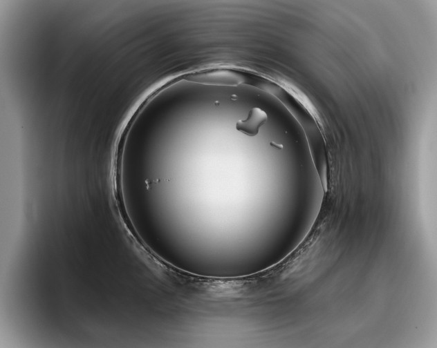 X0000096201148200801181336