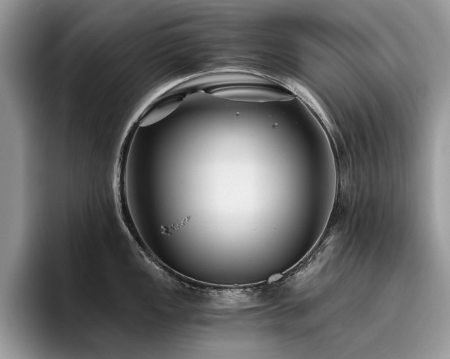 X0000096201149200801181336