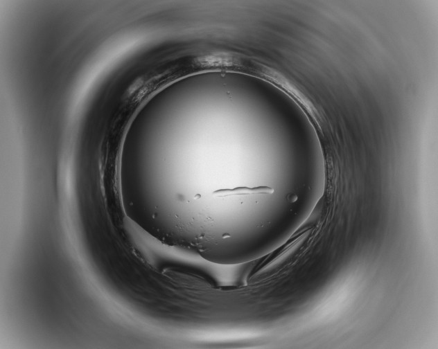 X0000096201151200801181336
