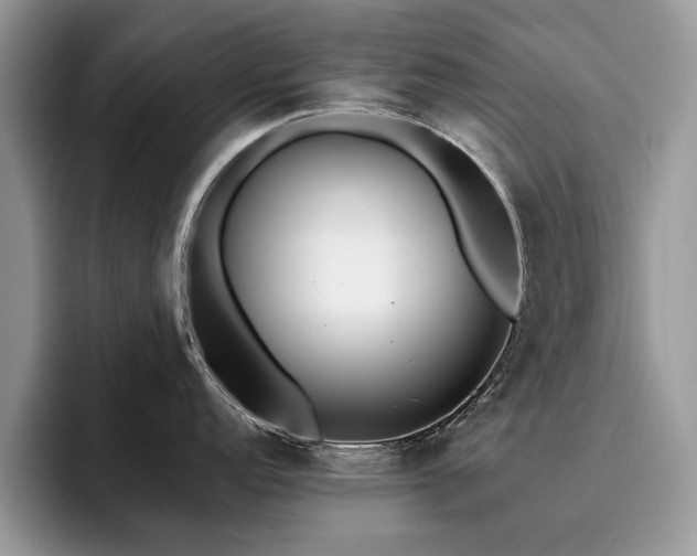 X0000096201152200801181336