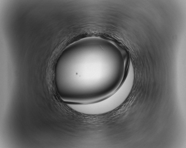 X0000096201153200801181335