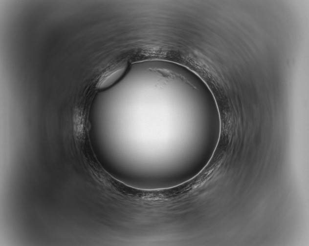 X0000096201154200801181335