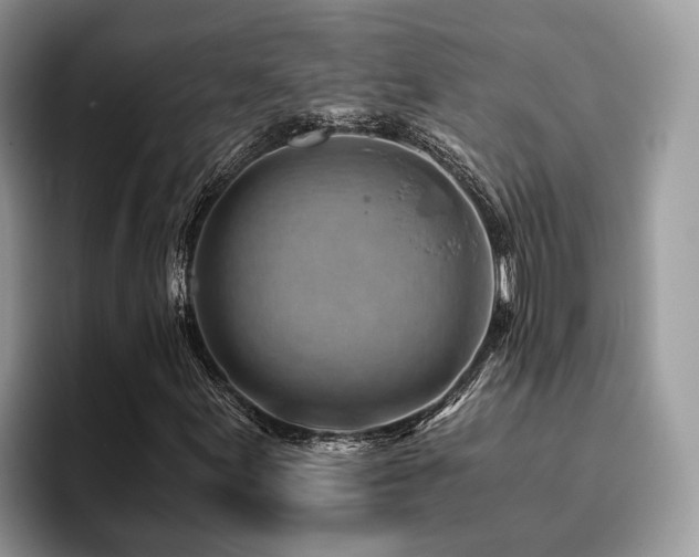 X0000096201155200801181335