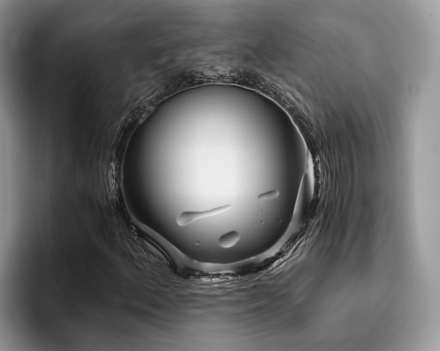 X0000096201156200801181335