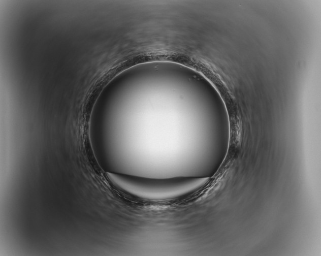 X0000096201157200801181335
