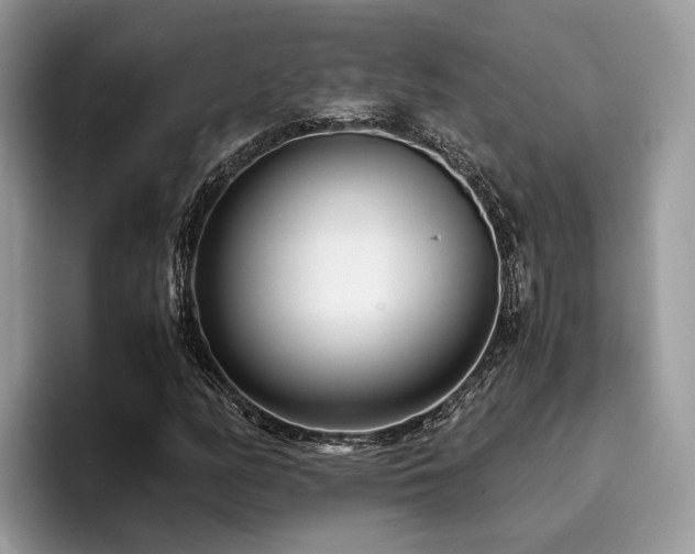 X0000096201158200801181335