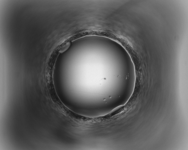 X0000096201159200801181335