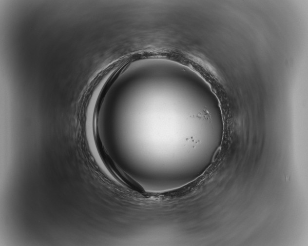 X0000096201160200801181335