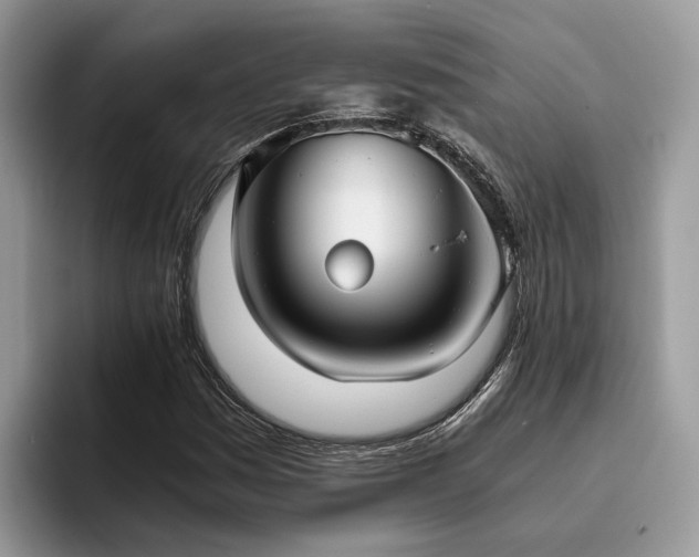 X0000096201161200801181335