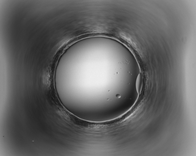 X0000096201163200801181335
