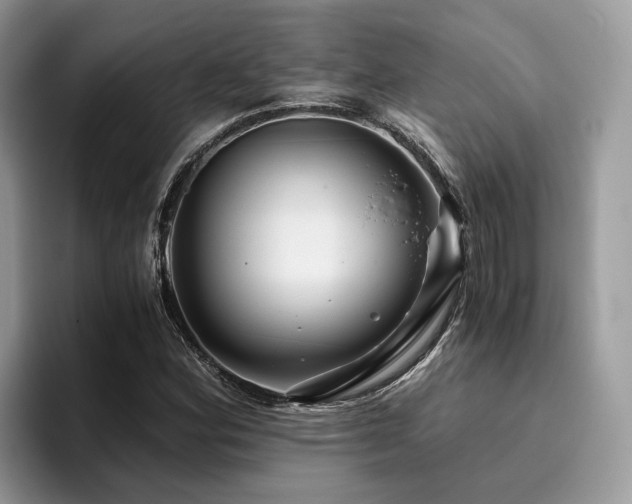 X0000096201164200801181335
