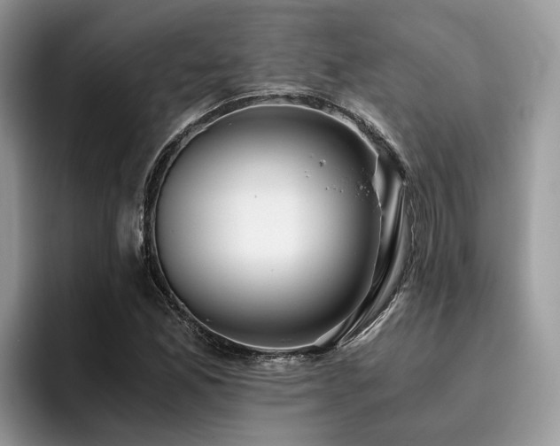 X0000096201165200801181335