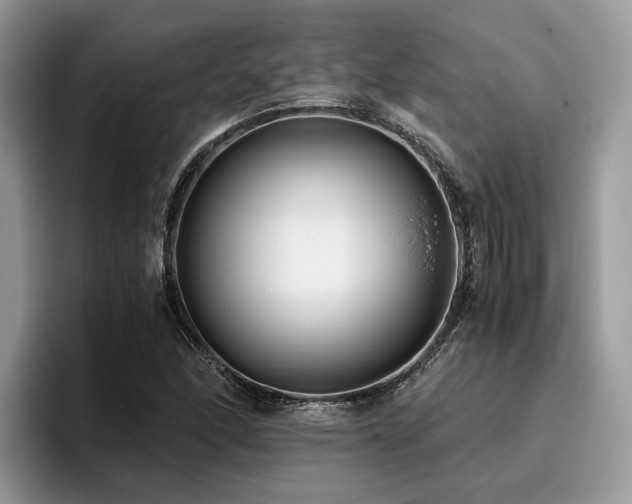 X0000096201166200801181335