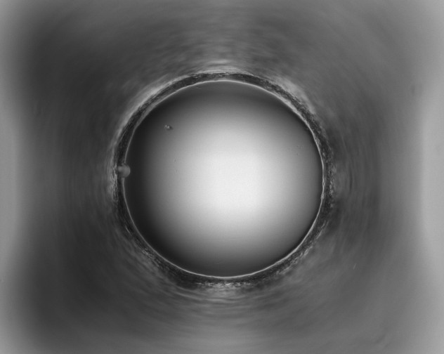 X0000096201167200801181335