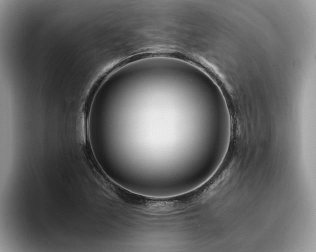 X0000096201171200801181335