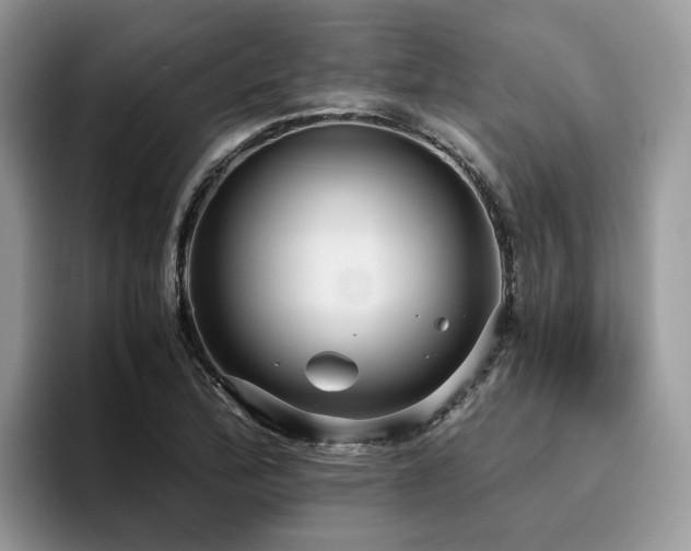 X0000096201172200801181335