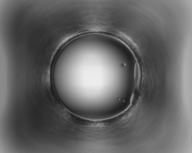 X0000096201174200801181335