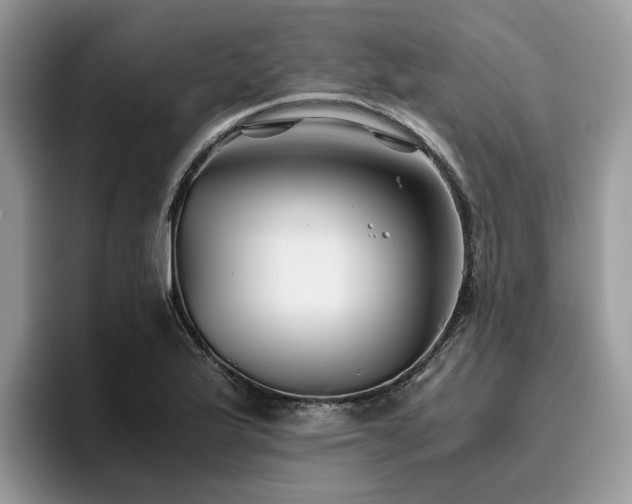 X0000096201175200801181335