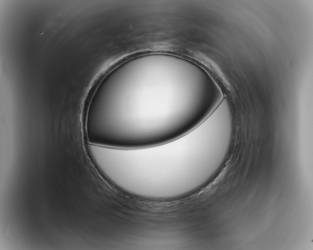 X0000096201176200801181335
