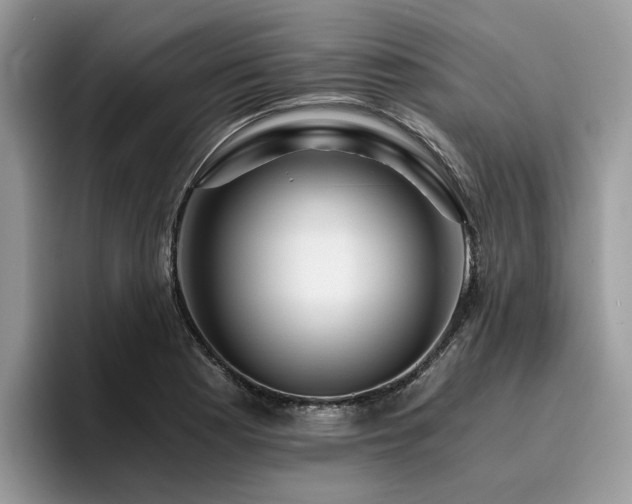 X0000096201177200801181335