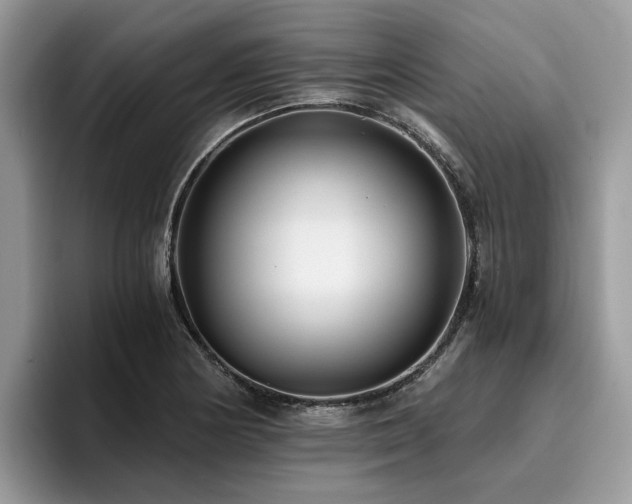 X0000096201178200801181335